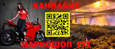 крисы Новодвинск